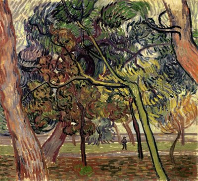 Kiefern im Garten des Asyls, 1889 von Vincent van Gogh