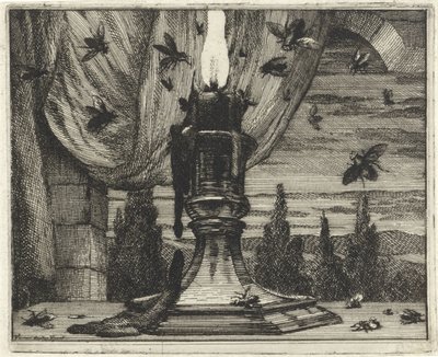 Fliegen werden vom Licht einer Kerze angezogen von Vincent Laurensz. van der Vinne (II)