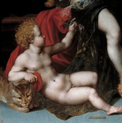Jupiter als Satyr mit Antiope und ihren Zwillingen (Detail) von Vincent Sellaer