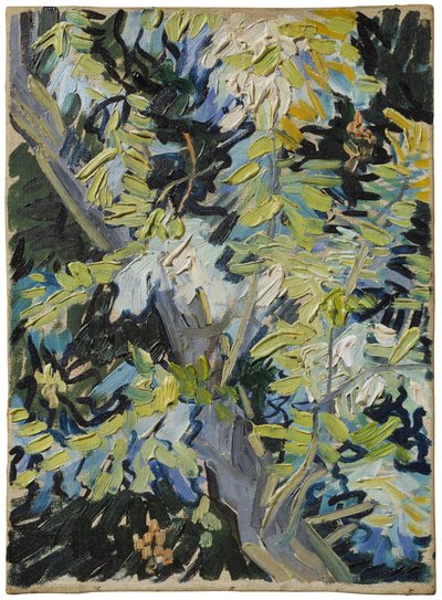 Blühende Akazie von Vincent van Gogh