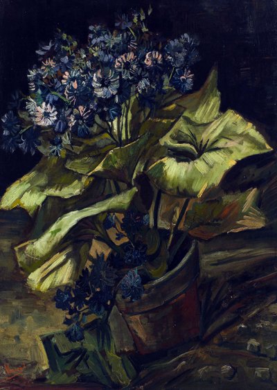 Cineraria im Blumentopf von Vincent van Gogh