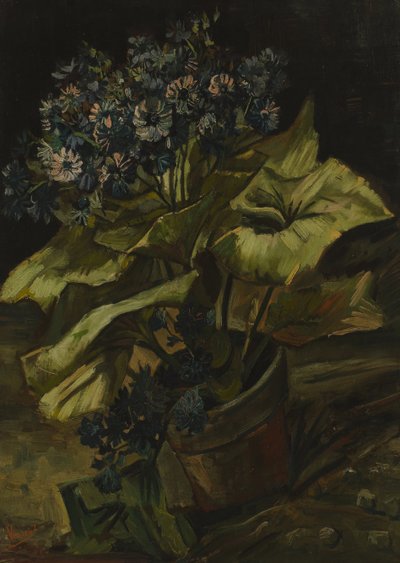 Cinerarien von Vincent van Gogh