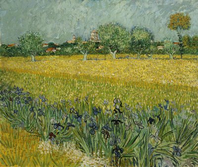 Feld mit Blumen bei Arles von Vincent van Gogh