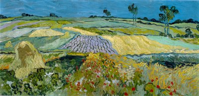 Felder bei Auvers von Vincent van Gogh