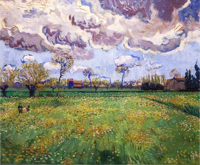 Prärien (Arles) von Vincent van Gogh