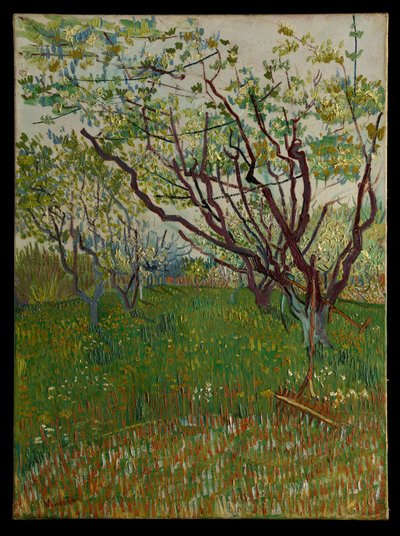 Der blühende Obstgarten von Vincent van Gogh