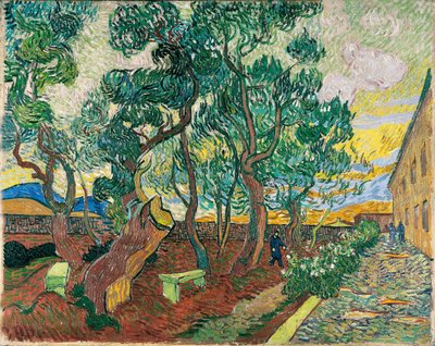 Der Garten des Saint-Paul-Krankenhauses von Vincent van Gogh
