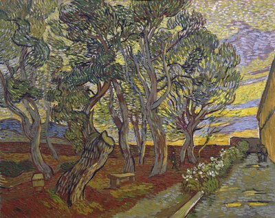 Der Garten des Saint-Paul-Krankenhauses von Vincent van Gogh