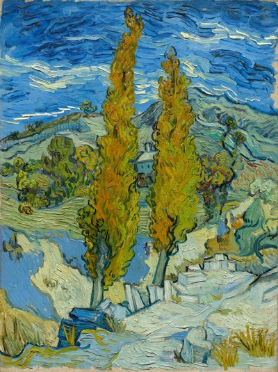 Zwei Pappeln in den Alpilles bei Saint-Rémy von Vincent van Gogh