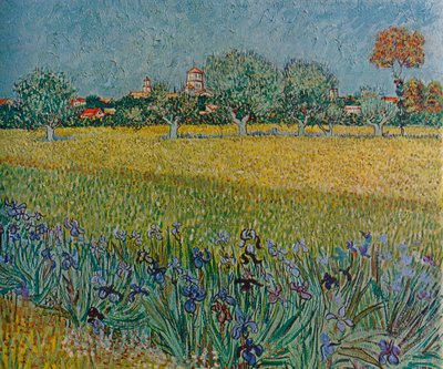 Ansicht von Ales mit blühenden Iris, 1888 von Vincent van Gogh