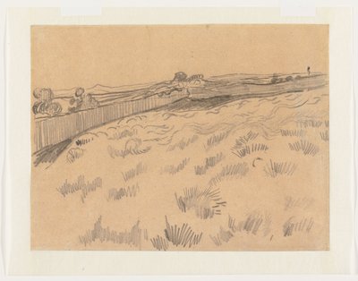 Ansicht des Feldes hinter dem Asyl von Saint-Paul in Saint-Rémy-de-Provence von Vincent van Gogh