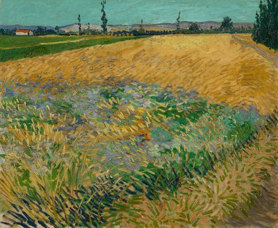 Weizenfeld von Vincent van Gogh