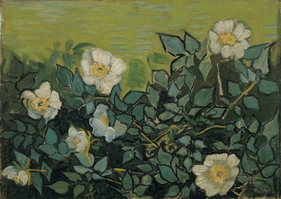 Wildrosen von Vincent van Gogh