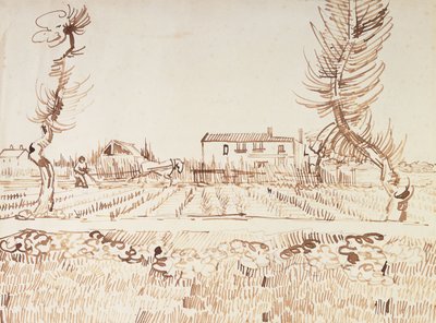 Arbeit auf den Feldern in Arles von Vincent van Gogh