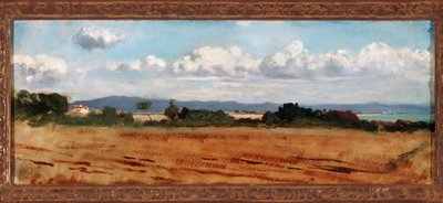Landschaft mit Wolken in Castiglioncello von Vincenzo Cabianca