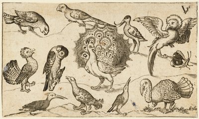 Pfau in der Mitte, umgeben von neun anderen Vögeln, darunter ein Truthahn, und einem Schmetterling von Virgil Solis
