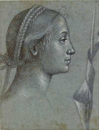 Kopf einer Frau mit einem um einen Pfahl gewickelten Wimpel von Vittore Carpaccio