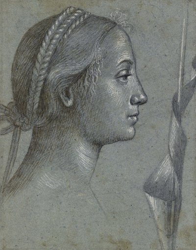 Recto: Kopf einer Frau mit einem Wimpel um einen Pfahl gewickelt von Vittore Carpaccio