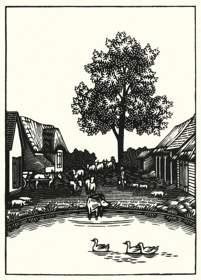 Illustration für Tess von den d