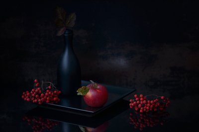 Dunkles Herbststillleben von Vladimir Pavlovskyy