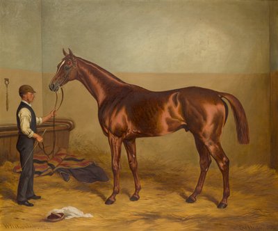 Sir Hugo als Dreijähriger, gehalten von einem Stallburschen, ca. 1875-92 von W.H. Hopkins