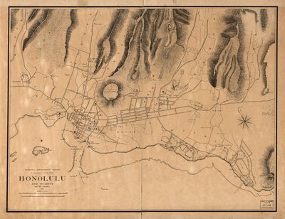 Honolulu und Umgebung von W. A.; Alexander Wall