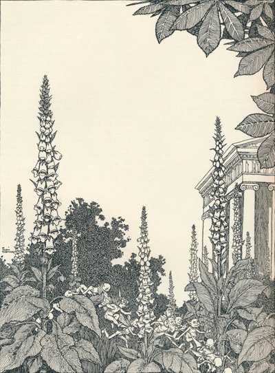 Illustration zu Ein Sommernachtstraum, 1914, 1925 von William Heath Robinson
