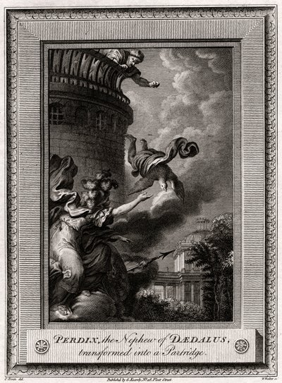 Perdix, der Neffe von Daedalus, verwandelt in ein Rebhuhn, 1774 von W. Walker