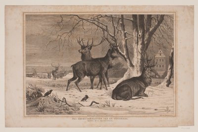 Von der Eremitage-Ebene an einem Wintertag von Waldemar Bøhme