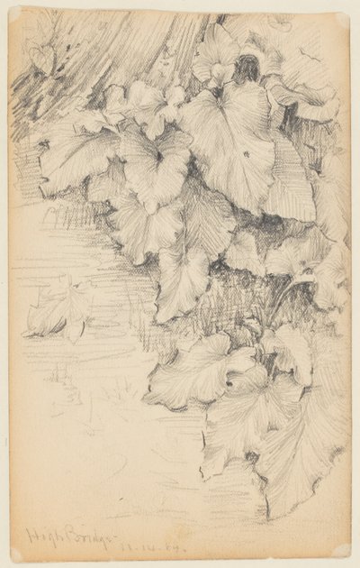 Studie von Pflanzen am Wasser, High Bridge von Walter Clark