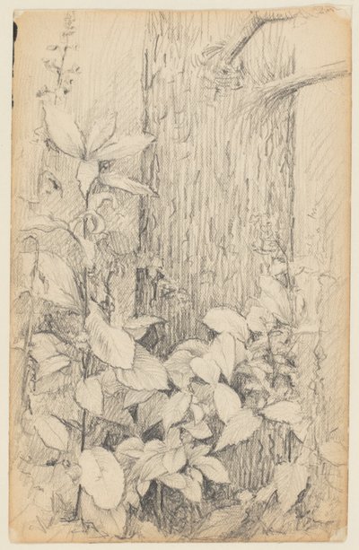 Studie von Unterholz von Walter Clark