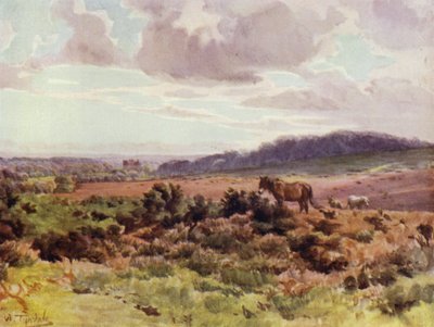 Der New Forest: Blick von Picket Post auf Ringwood Road von Walter Frederick Roofe Tyndale