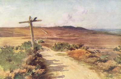 Wessex: Bere Heath im Herbst, mit Gallows Hill in der Ferne von Walter Frederick Roofe Tyndale