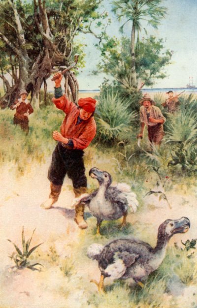 Niederländische Seeleute verfolgen Dodos von Walter Stanley Paget