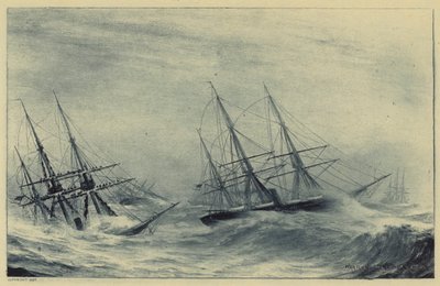 Schiffsunglück bei Apia, Samoa von Warren Sheppard