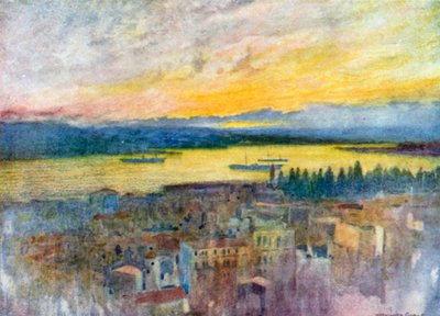 Goldenes Horn vom Britischen Krankenhaus, Galata von Warwick (after) Goble