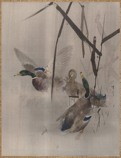 Enten im Schilf (ca. 1887) von Watanabe Seitei