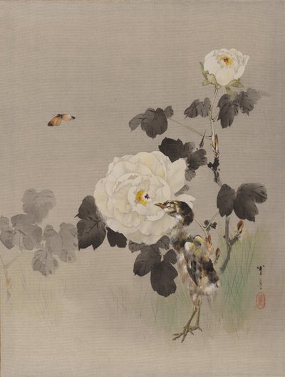 Rosen, junger Vogel und ein Schmetterling, ca. 1887 von Watanabe Seitei