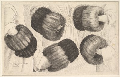 Ein Muff in fünf Ansichten, 1645-46 von Wenceslaus Hollar