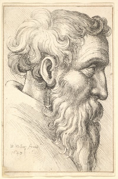 Bärtiger alter Mann im Profil nach rechts, 1645 von Wenceslaus Hollar