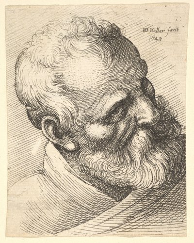 Bärtiger alter Mann mit geneigtem Kopf, 1645 von Wenceslaus Hollar