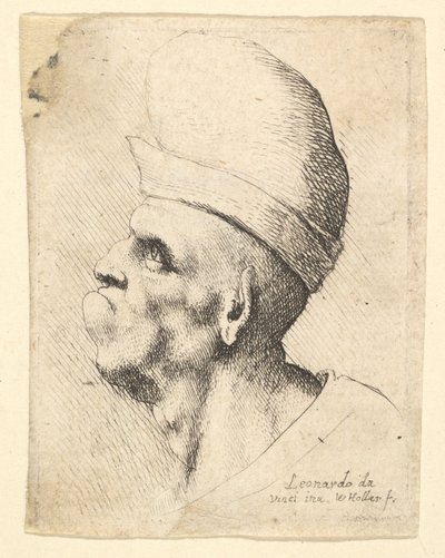 Büste eines deformierten Mannes mit einem knolligen Hut im Profil nach links, 1625-77 von Wenceslaus Hollar