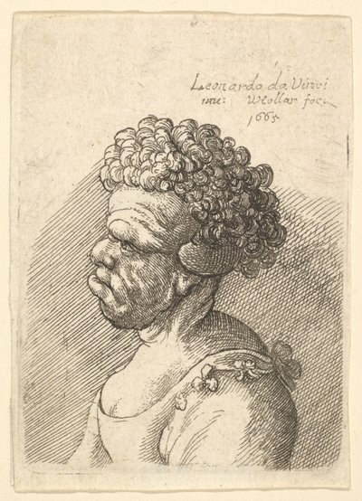 Büste einer deformierten Frau mit lockigem Haar im Profil nach links von Wenceslaus Hollar