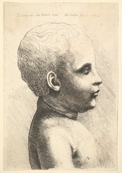 Kopf und Schulter eines Kindes, im Profil nach rechts, 1645 von Wenceslaus Hollar
