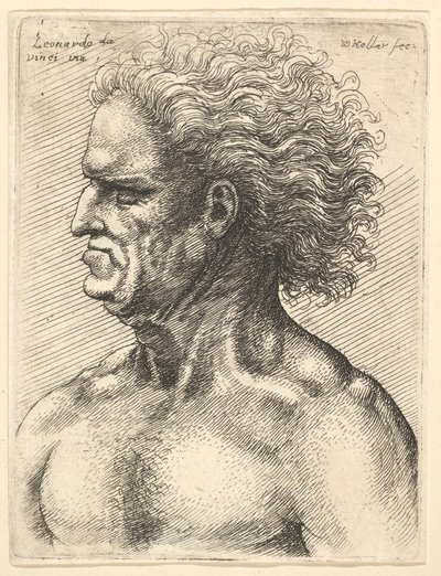 Kopf eines muskulösen alten Mannes im Profil nach links mit fließendem Haar, 1625-77 von Wenceslaus Hollar