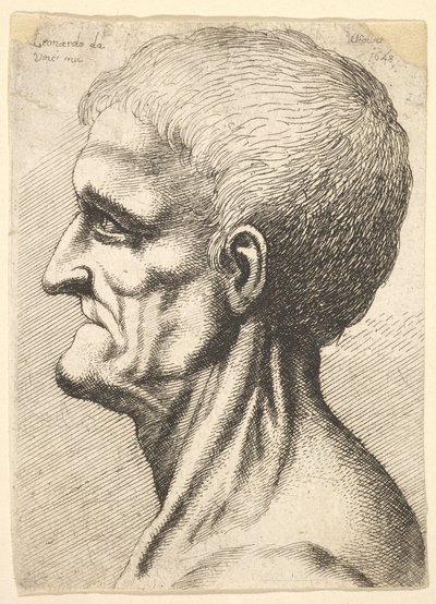 Kopf eines zahnlosen Mannes mit nacktem, sehnigem Hals im Profil nach links, 1648 von Wenceslaus Hollar