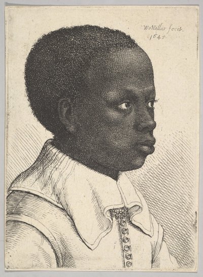 Kopf eines jungen schwarzen Jungen im Profil nach rechts von Wenceslaus Hollar