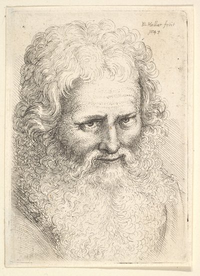 Kopf eines alten Mannes mit großem Bart von Wenceslaus Hollar