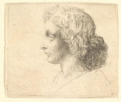 Kopf eines jungen Mannes mit langen Haaren im Profil nach links, 1644-52 von Wenceslaus Hollar