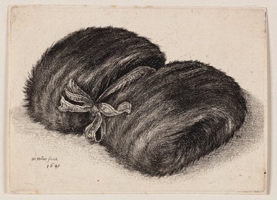 Dunkler Pelzmuff mit einem Schleifenband von Wenceslaus Hollar